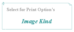 Text Box: Select for Print Option’s
Image Kind