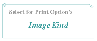 Text Box: Select for Print Option sImage Kind